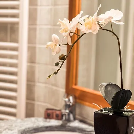 Apartamento Bijoux Des Alpes Verrand-courmayeur *