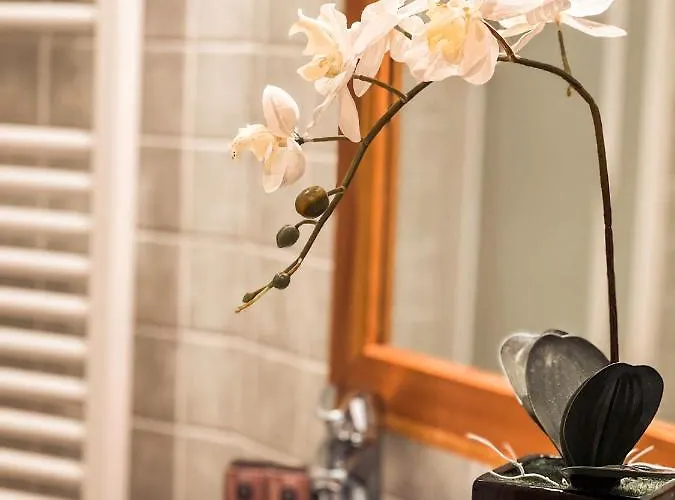 Apartment Bijoux Des Alpes Verrand-courmayeur *